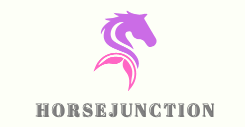 horsejunction.co.za